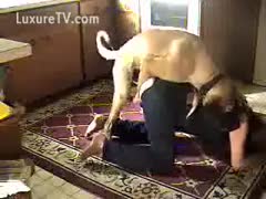 A woman's pants have a slit for her dog to fuck.